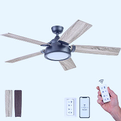 52 Inch Potomac, Matte Black, Remote Control, Smart Ceiling Fan –  Prominence Home